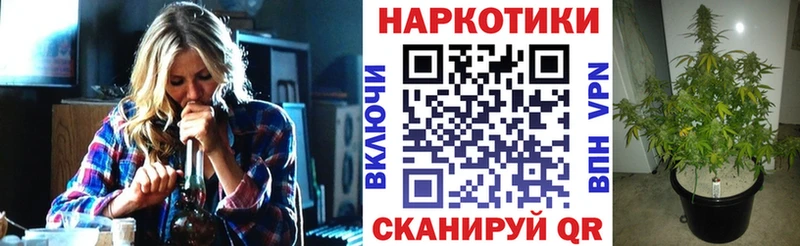 Где купить Аргун Бошки Шишки  COCAIN  ГАШ  Меф 