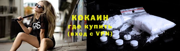 тгк Пестово