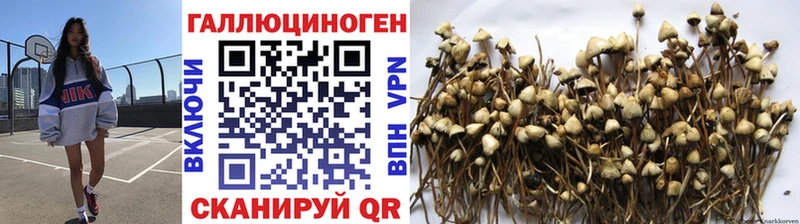 Псилоцибиновые грибы Magic Shrooms hydra ТОР Аргун даркнет сайт
